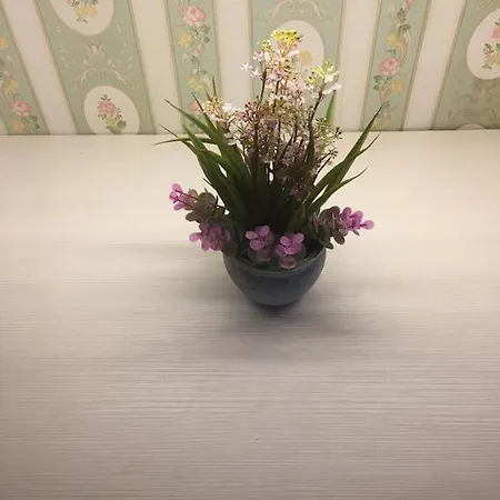 Apartment Flower Rethymno (Crete)
